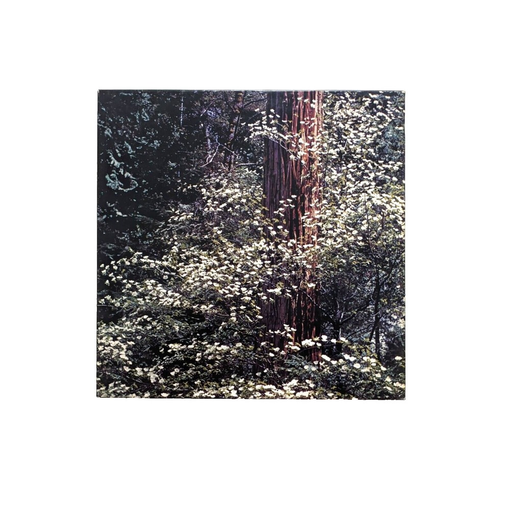 Vintage Springbok Puzzle Dogwood Trees Photo by‎ Richard Kauffman 1972 500+ pcs